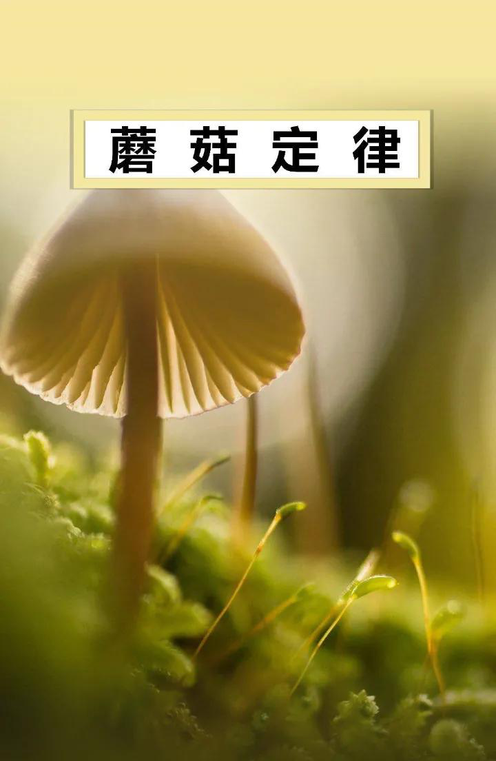 8bd69f2943d14538842c38f29c7d34d1.png 图片2.png