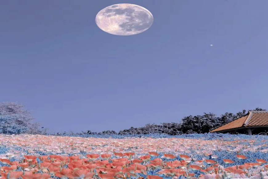 28976400cdaf4f70b6b498555e43c429.png 图片 1.png