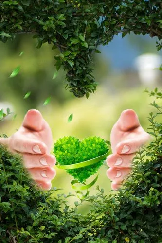 7cde0e4c54184268a0d3beb66e0e1c76.png 图片 1.png