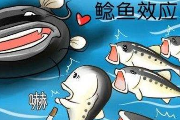 873bafba61a1424b9bbf07117f9db873.png 图片 88.png