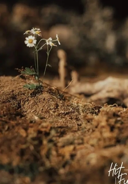 cd91730a59f04a2d9ab90072f4421ad2.png 图片 2_2.png