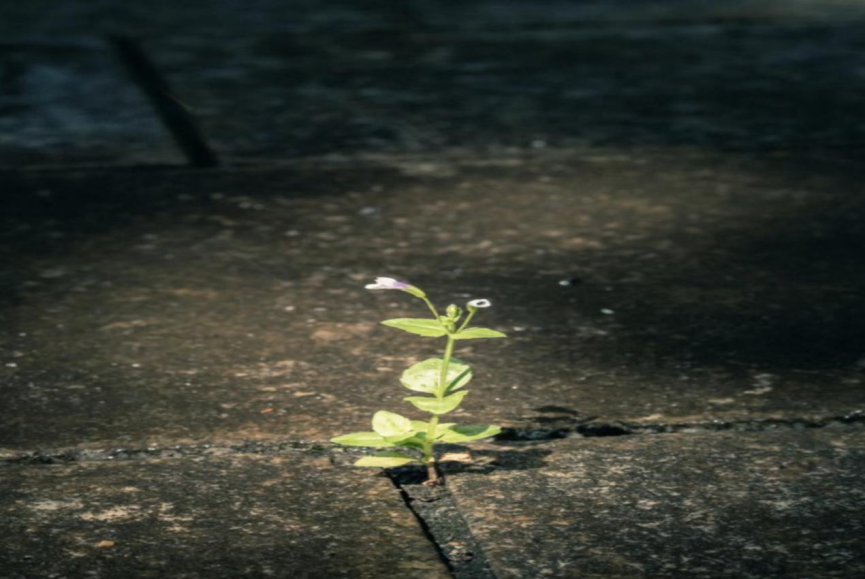 74593036e4a9416f8e466af456114635.png Image1_2.png