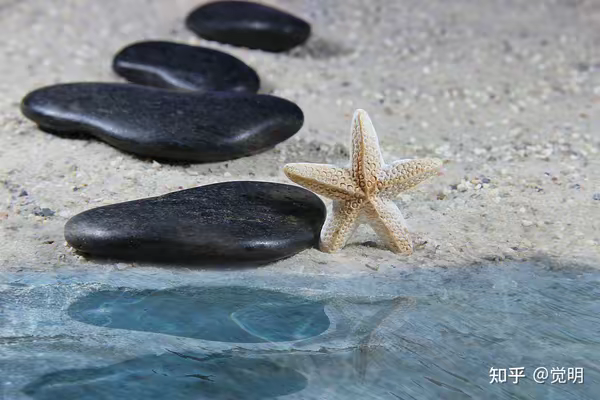 3aeb5013172f4a9ba0c59f77ba5f3261.png 图片7.png