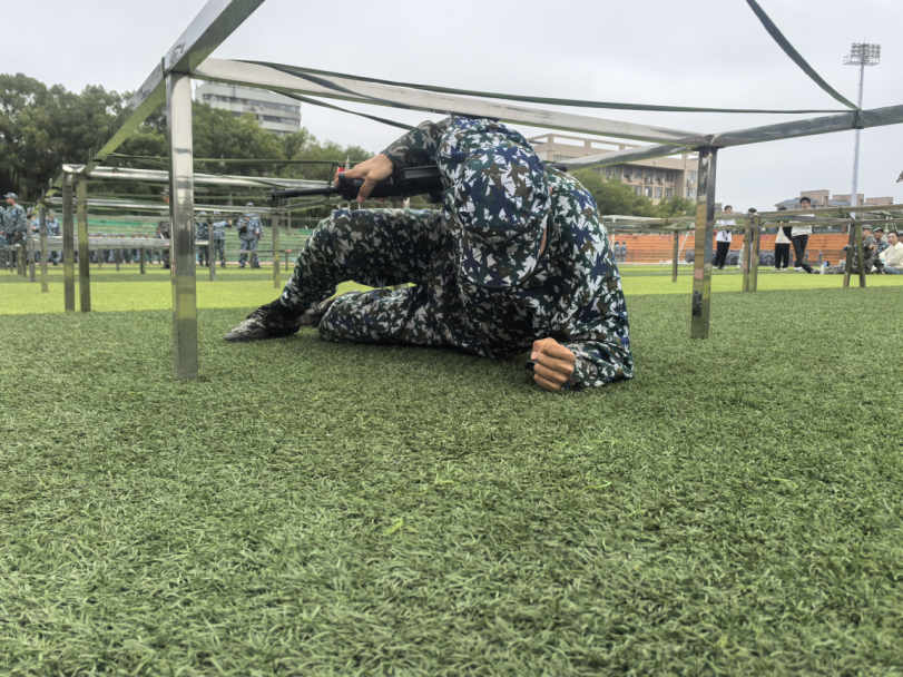 b7d703990c67442783ae01dc2c727dc8.png b7d703990c67442783ae01dc2c727dc8.png